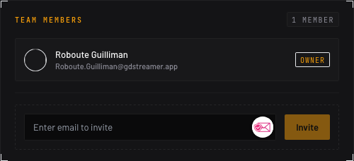 Team Members panel with the owner listed and an email field above an Invite button