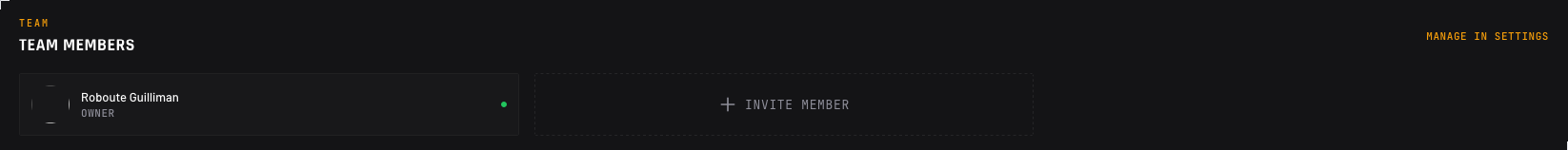 Team Members section listing the owner with an online indicator and an Invite Member tile